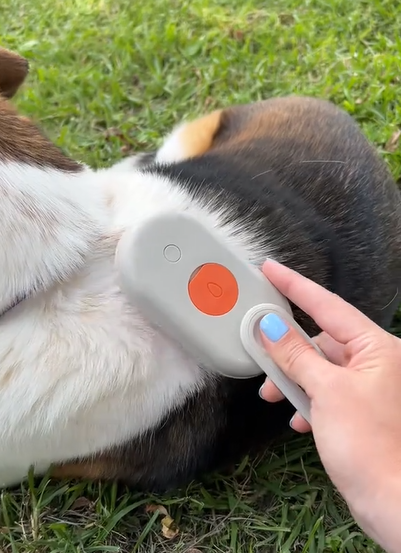 Pack Guante Para Mascota +Cepillo